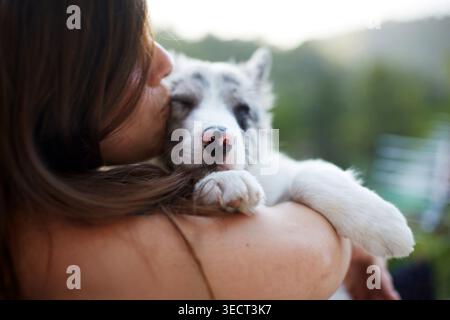Gros plan d'un jeune chiot border collie reposant dans les bras d'une personne tout en étant embrassé, capturant la chaleur, la confiance et l'affection pendant un mois calme en plein air Banque D'Images