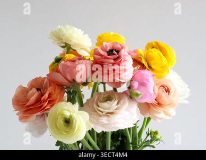 Bouquet coloré de fleurs de Ranunculus sur fond gris. Composition florale printanière élégante avec de délicats papillons persans. Copier l'espace. Banque D'Images