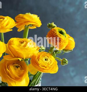 Bouquet Ranunculus asiaticus jaune vif sur fond texturé bleu. Composition florale printanière élégante avec de délicats papillons persans. Banque D'Images