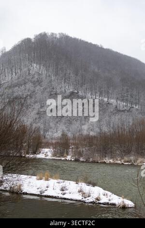 Vue verticale d'une colline enneigée descendant vers une rivière froide avec des arbres sans feuilles le long de la rive les tons sourds et la lumière douce capturent le brousse d'un W. Banque D'Images