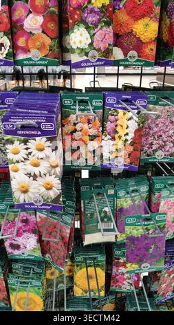Gros plan d'une étagère avec divers paquets de graines et de fleurs de jardin. Concept pour le jardinage, la préparation pour la saison estivale Banque D'Images