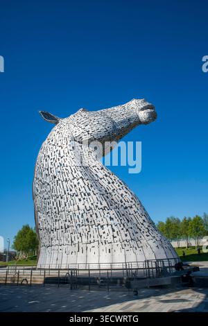 Les Kelpies à Falkirk, en Écosse, sous un ciel bleu ensoleillé. Les sculptures emblématiques de tête de cheval sont un monument écossais majeur de l'artiste Andy Scott Banque D'Images