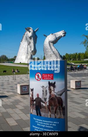 Les Kelpies à Falkirk, en Écosse, sous un ciel bleu ensoleillé. Les sculptures emblématiques de tête de cheval sont un monument écossais majeur de l'artiste Andy Scott Banque D'Images