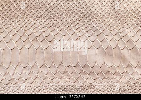 Fond de texture en cuir à l'échelle de serpent rose beige, gros plan sur le matériel de peau de reptile exotique Banque D'Images
