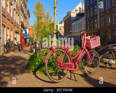 Vélo rose vif garé dans la pittoresque rue d'Amsterdam avec l'architecture traditionnelle hollandaise et le drapeau Banque D'Images