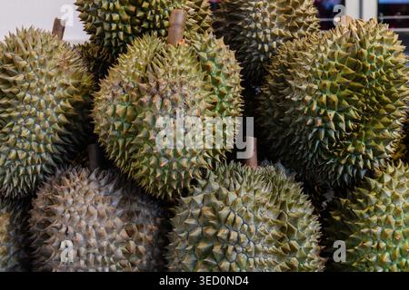 Les fruits de durian couverts d'épine s'empilaient haut sur un marché de produits en Thaïlande. Banque D'Images
