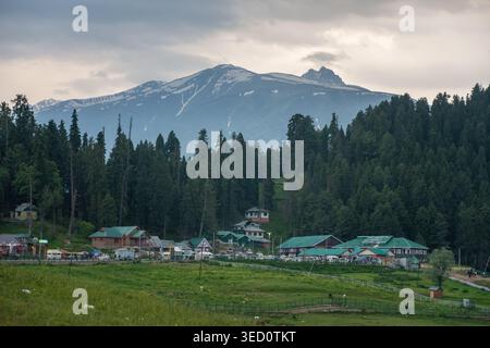 Une vue imprenable sur la pittoresque vallée de Gulmarg au Cachemire, en Inde, avec des prairies verdoyantes, des forêts de pins denses et de la neige majestueuse Banque D'Images