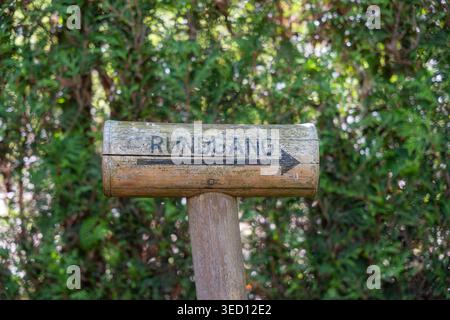 Le panneau en bois vieilli indique « Rundgang » avec la flèche pointant vers la droite. Le panneau se dresse haut dans la forêt verdoyante. La lumière du soleil filtre à travers le feuillage dense être Banque D'Images
