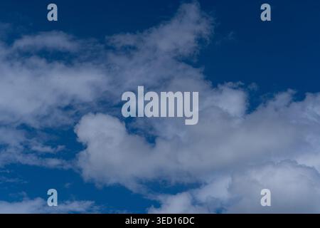 Une photographie de haute qualité d'un ciel bleu éclatant rempli de nuages de cumulus blancs épais et moelleux. L'image capture la texture naturelle et le contraste de t Banque D'Images