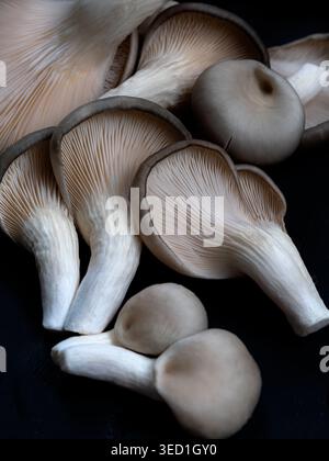 Une vue rapprochée des huîtres fraîches montrant des branchies délicates, des chapeaux lisses et des tons naturels doux. L'image met en évidence la texture, les détails organiques, un Banque D'Images