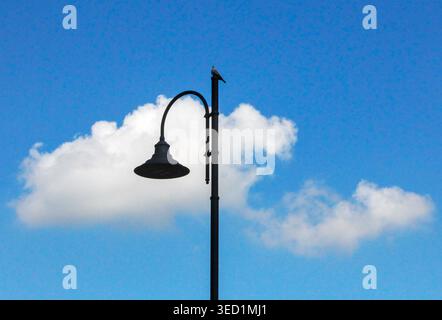 Un lampadaire classique avec un pigeon perché sur le dessus contre un ciel bleu vif avec des nuages blancs. Banque D'Images