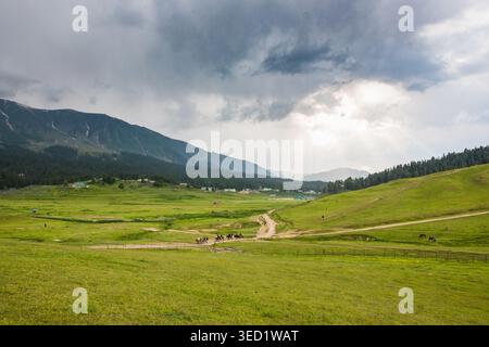 Une vue imprenable sur les vastes prairies verdoyantes de Gulmarg, au Cachemire, avec un chemin de terre, des montagnes lointaines et un ciel nuageux spectaculaire. Banque D'Images