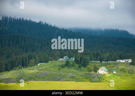 Un paysage pittoresque avec une église pittoresque et des maisons entourées de prairies verdoyantes et une forêt de pins dense sous un ciel nuageux à Gulmarg, I Banque D'Images