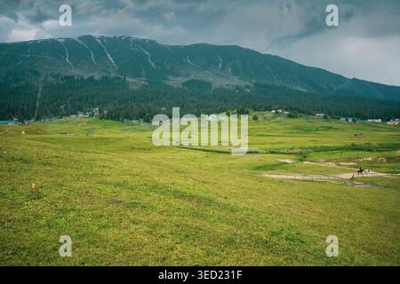 Une vue imprenable sur les vastes prairies verdoyantes de Gulmarg au Cachemire, en Inde, avec pour toile de fond des sommets majestueux et enneigés. Banque D'Images