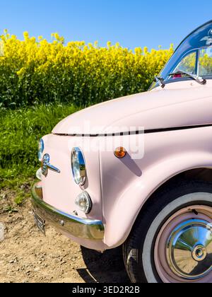 Gros plan d'une petite voiture rose vintage garée à côté d'un champ de colza jaune fleuri sous un ciel bleu clair Banque D'Images