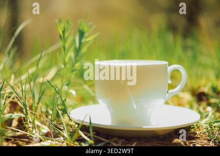 Tasse à café se trouve sur une plaque blanche dans une grande herbe verte sous le soleil brillant pendant l'après-midi. Dans l'après-midi, la tasse de soleil repose sur la plaque assortie. capture de scène Banque D'Images