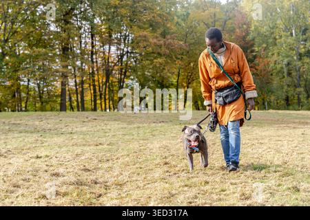 Femme africaine se liant avec le chien American Staffordshire Terrier dans le parc d'automne Banque D'Images