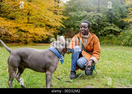 Moment d'automne comme jeune femme à la peau foncée en veste orange donne de l'eau au grand chien gris Banque D'Images