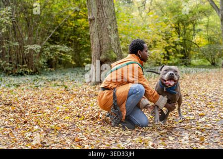 Jeune femme à la peau foncée aidant son grand chien pendant la promenade d'automne dans le parc forestier Banque D'Images