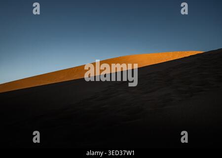 Dunes de lumière et d'ombre à Dawn dans le parc national Great Sand Dunes Banque D'Images