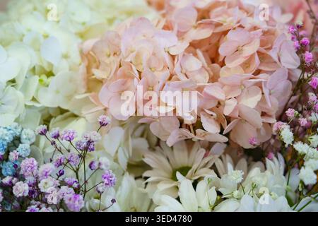 Close-up de fleurs colorées mettant en valeur diverses floraisons Banque D'Images