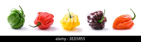 Ensemble de cinq poivrons habanero en plusieurs couleurs isolés sur fond blanc. Rouge jaune vert chocolat orange piment, assortiment, composition isolée Banque D'Images