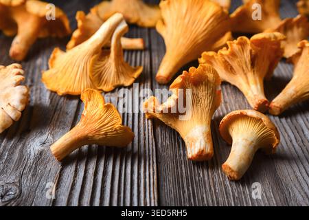 Chanterelles fraîches sur la surface en bois rustique de près. Champignons forestiers, produits biologiques, style campagne Banque D'Images