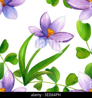 Fleurs de crocus violettes entrelacées avec des feuilles vertes, motif aquarelle sans couture. Fleurs de montagne bleues fraîches, dessinées à la main. Plantes à fleurs vibrantes fo Banque D'Images