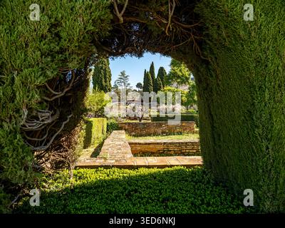 Sunlit Garden Archway encadrée par Cypress Hedges Over Stone Path dans les jardins méditerranéens Generalife Alhambra, Grenade, Espagne Banque D'Images
