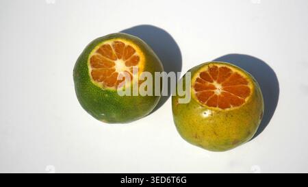 Deux oranges Mandarin vertes fraîches coupées ouvertes sur fond blanc Banque D'Images