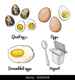 Icônes de nourriture vectorielle. Croquis coloré de produits alimentaires. Oeufs, oeufs de caille, oeufs brouillés Illustration de Vecteur