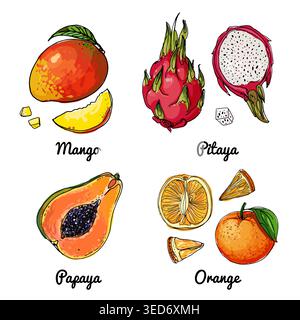 Icônes de nourriture vectorielle de fruits. Croquis coloré de produits alimentaires. Mangue, pitaya, papaye, orange Illustration de Vecteur