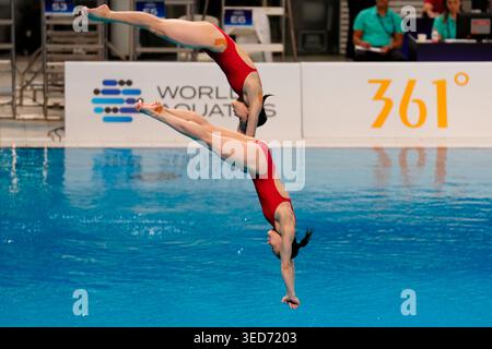 Pékin, Chine. 01 mai 2026. Jin Mi JO et Mi Rae Kim de PRK participent à la finale de la plate-forme synchronisée féminine au 10 m lors de la Super finale de la Coupe du monde de plongée au National Aquatics Center le 1er mai 2026 à Pékin, en Chine. Crédit : John Nacion / Alamy Live News Banque D'Images