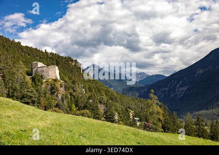 Albula Alvra, Suisse - 20 septembre 2024 : une belle vue sur un sol forestier baigné de soleil, montrant un feuillage vert dense et la lumière du soleil filtrant th Banque D'Images