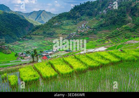 Philippines, île de Luzon, région de la Cordillère, province d'Ifugao, Batad, terrasses de riz de Banaue, un site classé au patrimoine mondial de l'UNESCO Banque D'Images