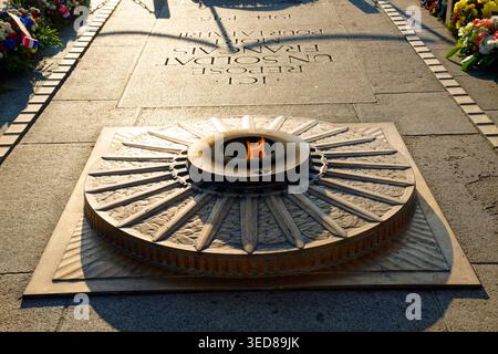 France, Paris, place de l'Etoile, l'Arc de Triomphe, le tombeau inconnu du soldat sous l'Arc de Triomphe Banque D'Images