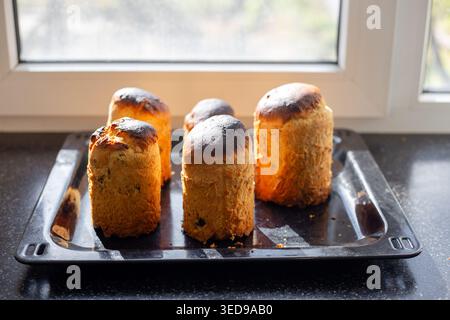 Plusieurs gâteaux de Pâques cuits au four reposent sur un plateau noir près d'une fenêtre de cuisine. Fête de Pâques, cuisson traditionnelle, nourriture festive. Pâques. Banque D'Images