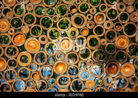 Cette image présente un arrangement complexe de motifs circulaires dans des tons terreux, mettant en valeur un mélange de design artistique et d'éléments naturels. Banque D'Images