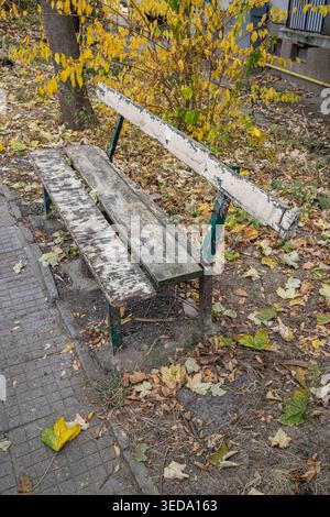 Veliko Tarnovo, Bulgarie. Pelage de peinture sur un vieux banc de parc. Banque D'Images