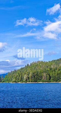 Sitka, États-Unis - 3 août 2024 : Shoreside Coffee Co près d'un littoral avec des arbres forestiers à Sitka, Alaska, États-Unis. La région est populaire parmi les touristes Banque D'Images
