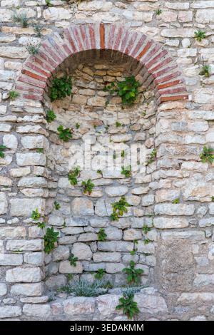 Ancien mur de pierre avec niche en brique voûtée et plantes vertes sauvages Banque D'Images