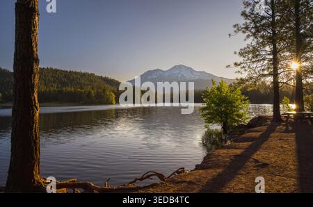 La lumière matinale illumine le mont Shasta et le rivage du lac Siskiyou dans le nord de la Californie, États-Unis. Banque D'Images