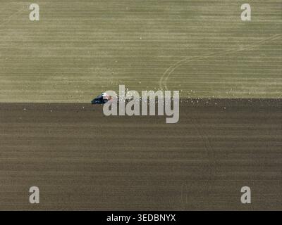 Vue aérienne d'un tracteur rouge labourant un grand champ agricole suivi d'un troupeau d'oiseaux blancs. Banque D'Images