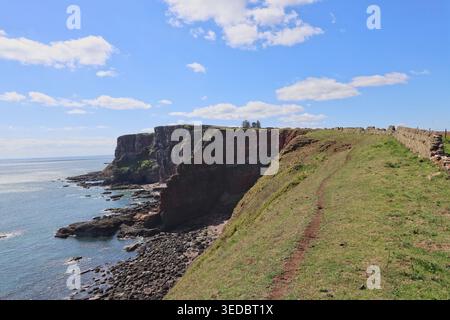 Falaises de grès rouge près d'Ethie Angus Écosse mai 2026 Banque D'Images