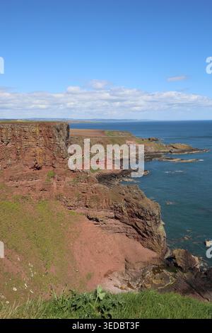 Falaises de grès rouge près d'Ethie Angus Écosse mai 2026 Banque D'Images