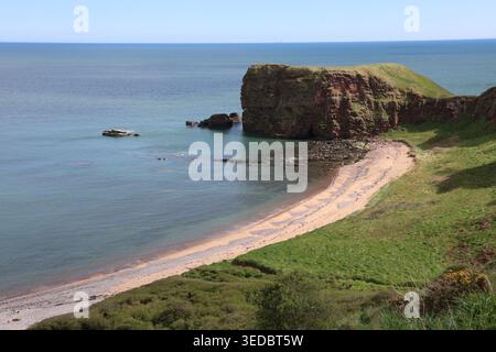 Falaises de grès rouge et sable doré Carlingheugh Bay Angus Écosse mai 2026 Banque D'Images