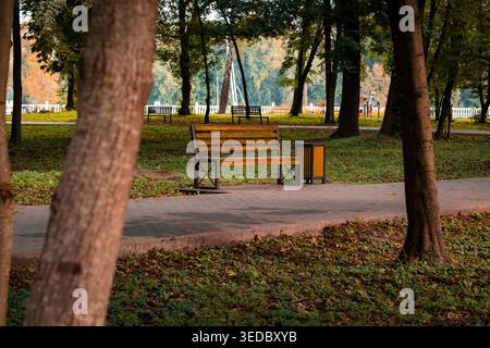 Une scène de parc sereine en automne, avec des bancs en bois vides et un sentier bordé de feuilles tombées et d'herbe verte luxuriante Banque D'Images