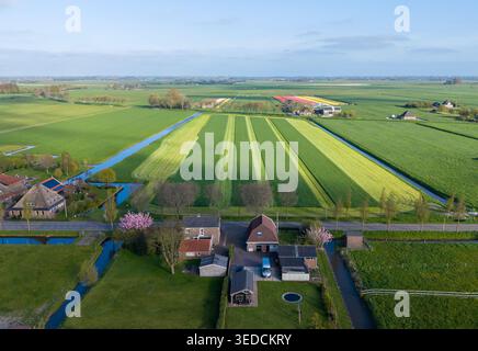 Vue aérienne de champs agricoles verdoyants avec des canaux d'irrigation, des maisons traditionnelles et des arbres en fleurs sous un ciel bleu clair. Banque D'Images