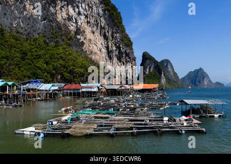 Fermes piscicoles sur la baie de Phang Nga, en Thaïlande, sur les rives de Ko Panyi, également connu sous le nom de Koh Panyee, un village de pêcheurs musulman flottant, remarquable pour être bu Banque D'Images