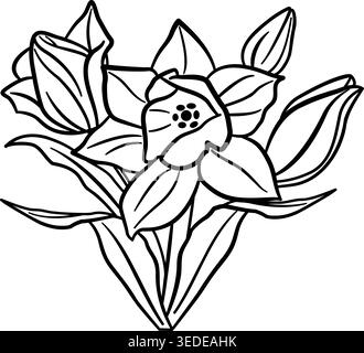 Fleurs de Narcisse pour Coloriage. Fleurs printanières. Illustration vectorielle de jonquilles florissantes avec des feuilles Illustration de Vecteur